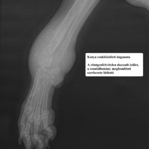 carpus daganat