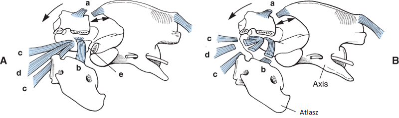 axisatlas